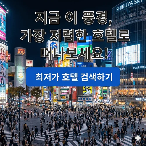 여행을 떠나요